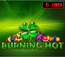 Burning Hot Logo