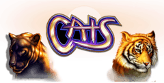 Cats Logo