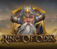 Ring of Odin Testbericht