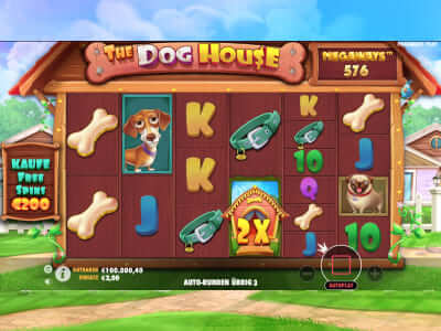 The Dog House