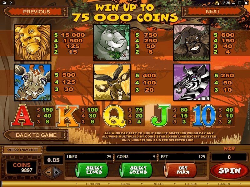 safari slot game