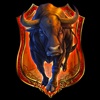 Stier