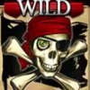 Piratenflaggen-Wildsymbol
