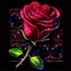 Rose, Gitarre und Hut
