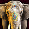 Elefant