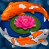 Koi