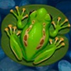 Tiere (Libelle, Schildkröte, Frosch)