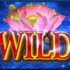 Wild