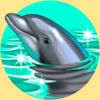 Delfin und Surferin