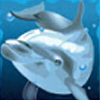 Delfin
