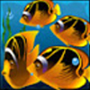 Fische und Seepferdchen